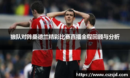 狼队对阵桑德兰精彩比赛直播全程回顾与分析